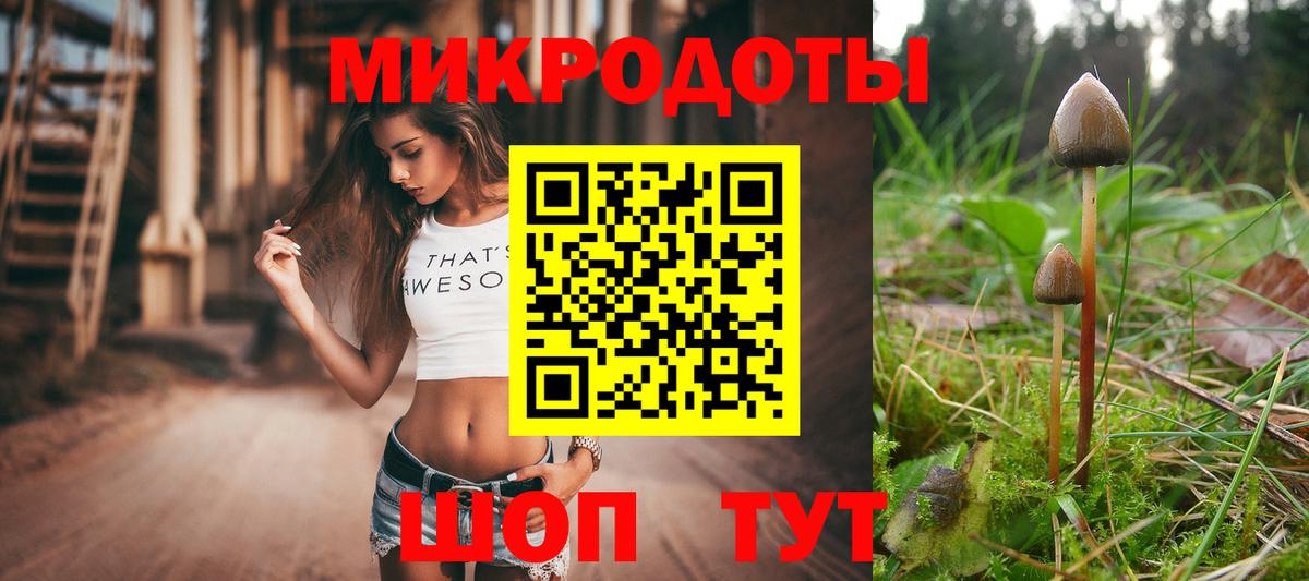 магазин  наркотиков  Галлюциногенные грибы прущие грибы  Большой Камень  Вход с VPN  Галлюциногенные грибы прущие грибы 