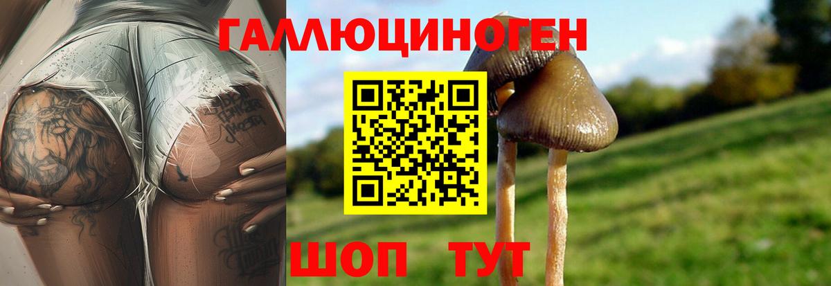 Псилоцибиновые грибы Magic Shrooms Большой Камень